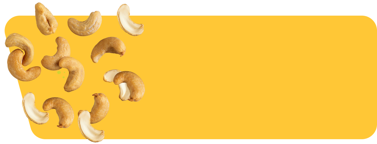 Elevate Your Taste Experience